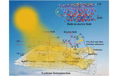 Rapid and stable degradation of dichlorvos on chili pepper and histamine in sardines using S-scheme Al6Si2O13/g-C3N4 nanocomposites 2026.100867